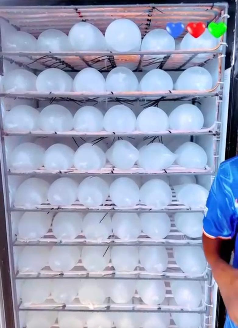 Production de glace alimentaire en sachets
